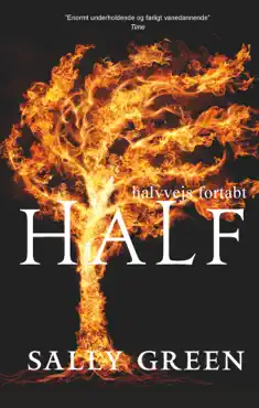 half lost book cover image