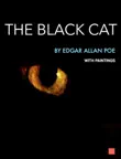The Black Cat synopsis, comments
