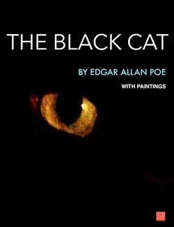 the black cat book cover image