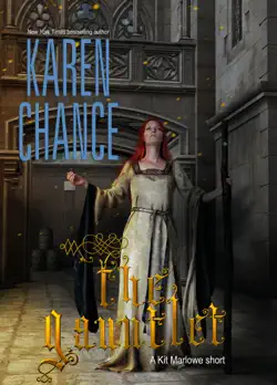 the gauntlet book cover image