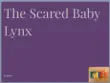 The Scared Baby Lynx synopsis, comments