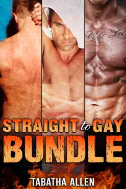 straight to gay bundle imagen de la portada del libro