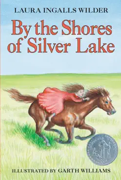 by the shores of silver lake book cover image