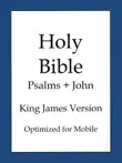 The Holy Bible, King James Version Lite synopsis, comments