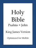 The Holy Bible, King James Version Lite e-book