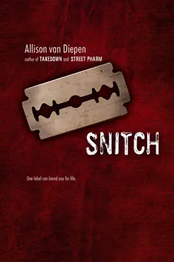 snitch book cover image