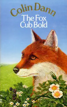 the fox cub bold book cover image