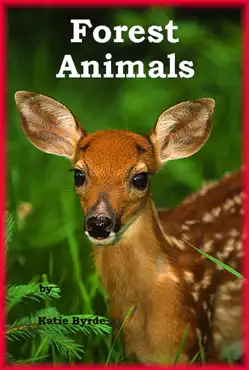 forest animals imagen de la portada del libro
