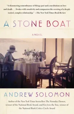 a stone boat book cover image