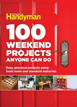 100 weekend projects anyone can do book cover image