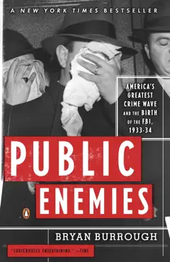public enemies book cover image