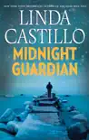 Midnight Guardian synopsis, comments