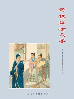 司棋与潘又安 book cover image