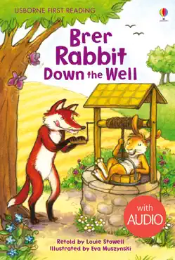 brer rabbit down the well imagen de la portada del libro
