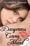 Dangerous Curves Ahead (BBW Erotic Romance)
