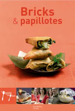 bricks et papillottes book cover image