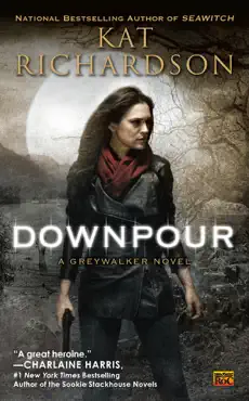 downpour book cover image