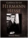 Hermann Hesse sinopsis y comentarios
