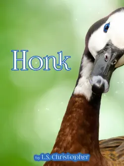 honk book cover image