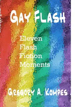 gay flash book cover image