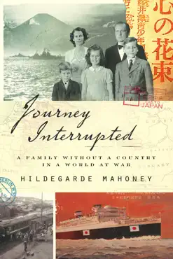 journey interrupted book cover image