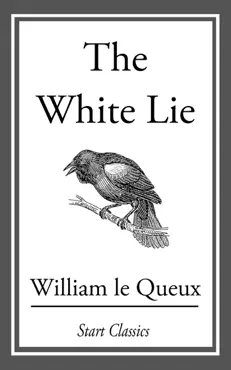 the white lie book cover image