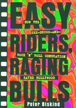 easy riders raging bulls book cover image
