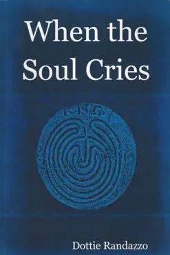 when the soul cries book cover image