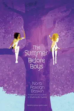 the summer before boys book cover image