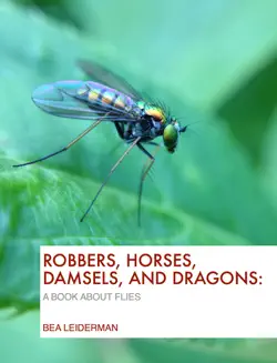robbers, horses, damsels, and dragons book cover image