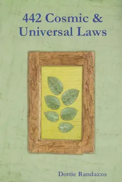 442 cosmic & universal laws book cover image
