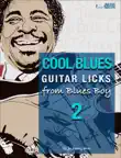 Cool Blues Guitar Licks From Blues Boy 2 synopsis, comments