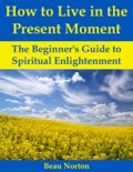 How to Live in the Present Moment: The Beginner's Guide to Spiritual Enlightenment book summary, reviews and download