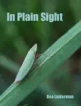 In Plain Sight reviews