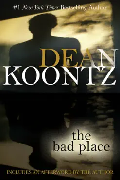 the bad place book cover image