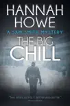 The Big Chill synopsis, comments