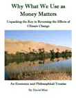 Why What We Use as Money Matters synopsis, comments