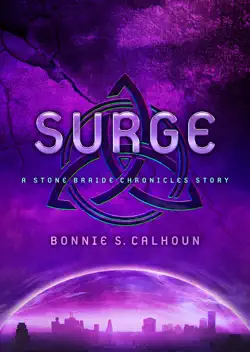 surge book cover image