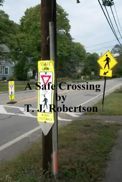 a safe crossing book cover image