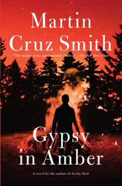 gypsy in amber book cover image