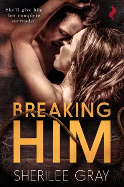 breaking him book cover image