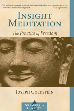 insight meditation imagen de la portada del libro