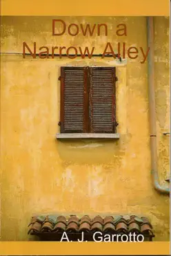 down a narrow alley book cover image