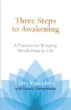 Three Steps to Awakening synopsis, comments
