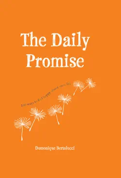 the daily promise book cover image