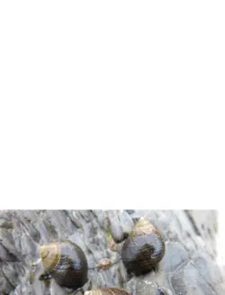 rocky shore ecology book cover image