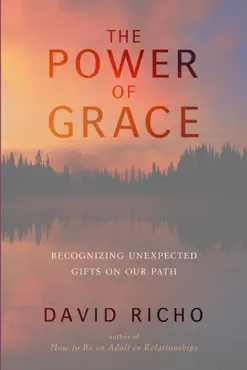 the power of grace book cover image