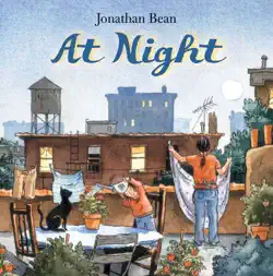 at night book cover image