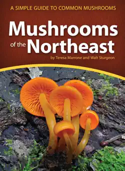 mushrooms of the northeast book cover image