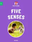 Five Senses sinopsis y comentarios